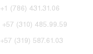 +1 (786) 431.31.06 +57 (310) 485.99.59
+57 (319) 587.61.03